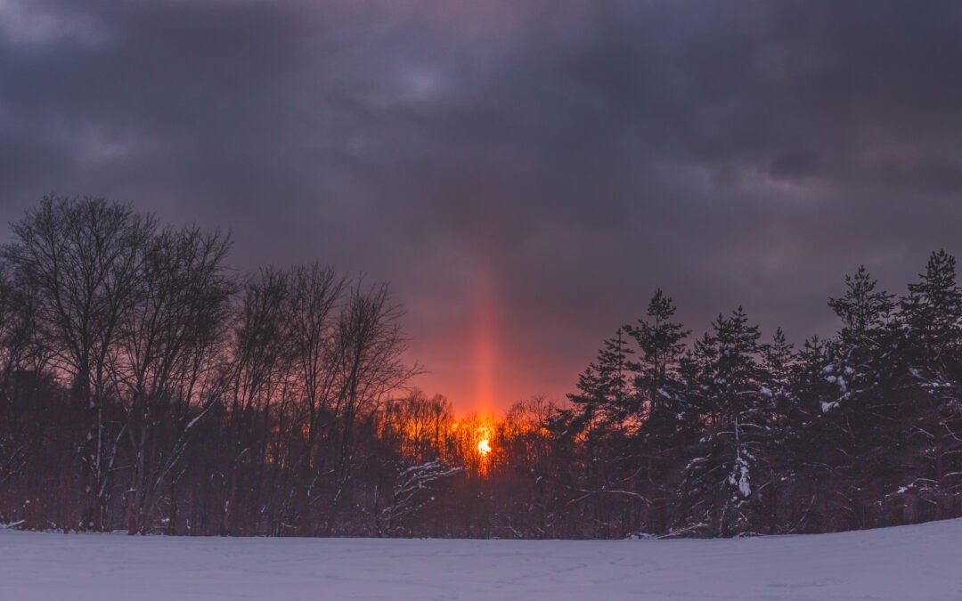 Tips for Driving in the Dark (Because the Sun Clocked Out Early)