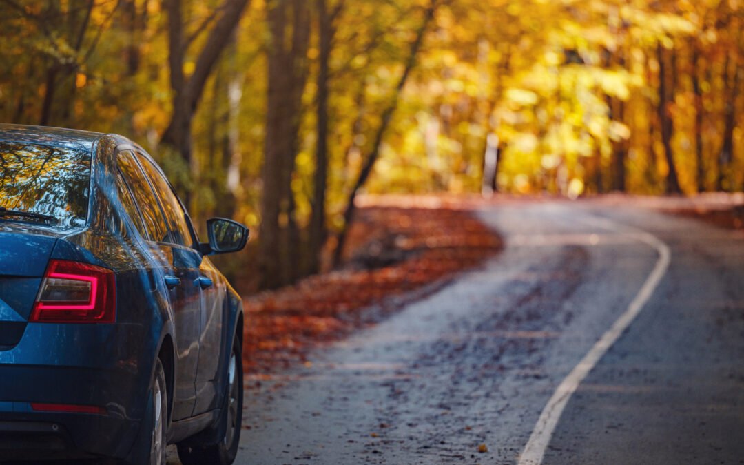 Fall Driving in Ohio: Watch for Wet Leaves and Deer